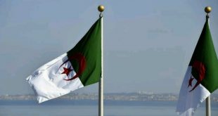 علم الجزائر / المنتصف
