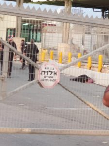 استشهاد فلسطينية القدس /المنتصف