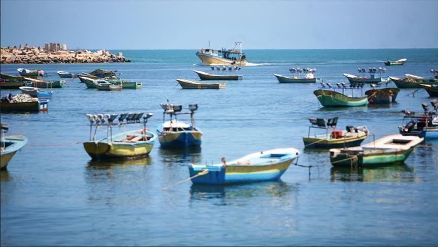 شواطئ غزة -المنتصف