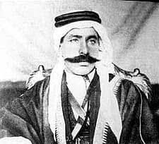 سلطان باشا الأطرش - المنتصف