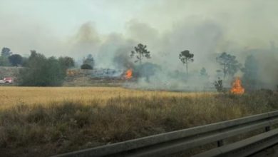 حرائق إسرائيل -المنتصف