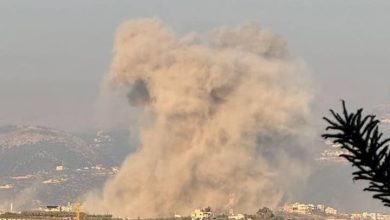 جنوب لبنان - المنتصف