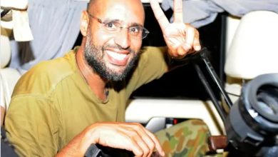 سيف الإسلام القذافي - المنتصف